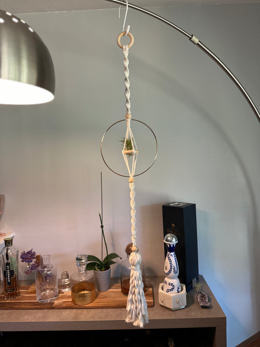 Air Plant Hanger | Design #1